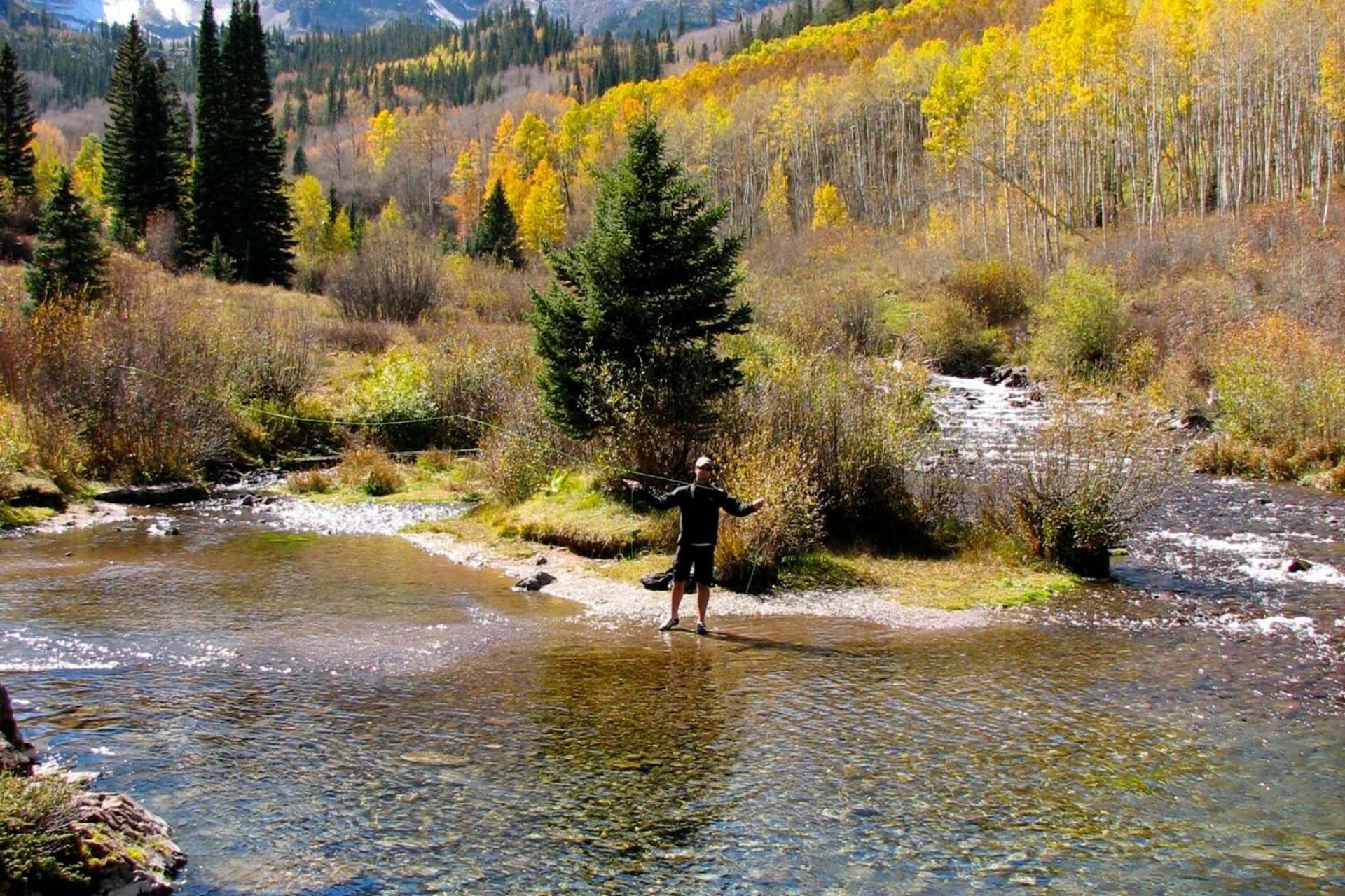 Shadowbrook 303 Βίλα Snowmass Village Εξωτερικό φωτογραφία